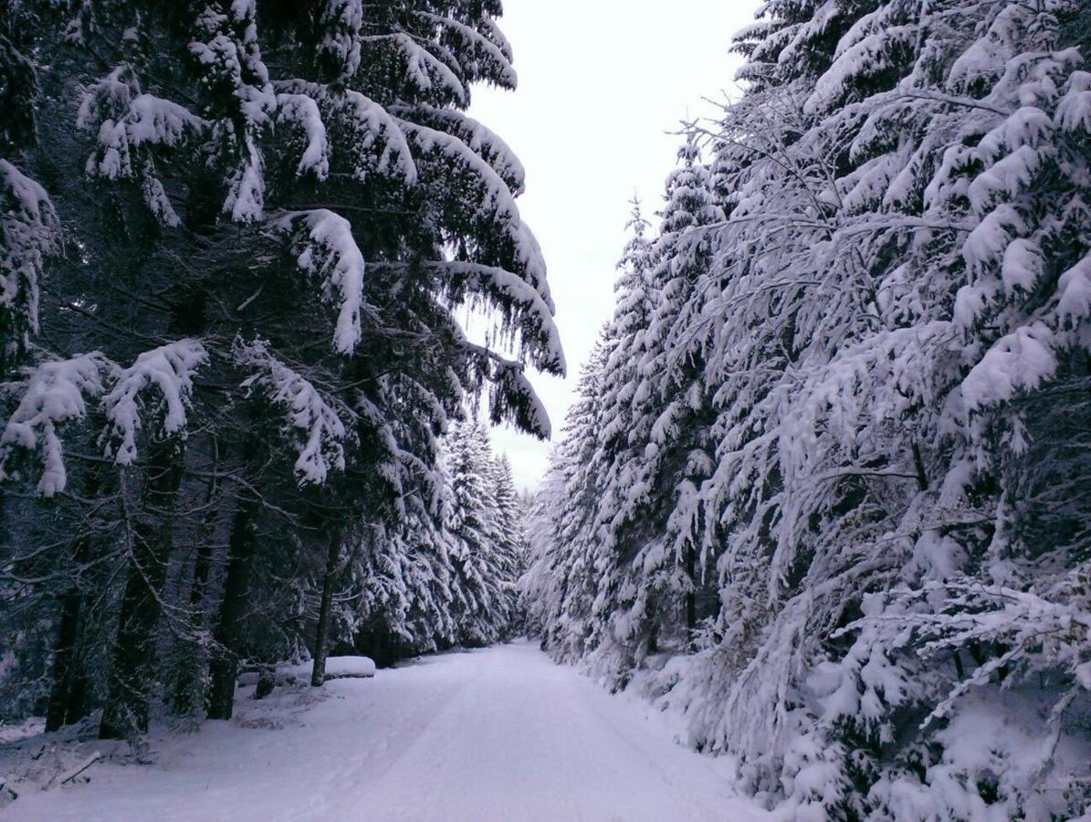Mala Narnia Hotel Frymburk Buitenkant foto
